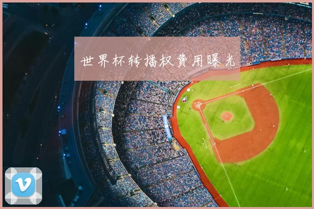 世界杯转播权费用曝光