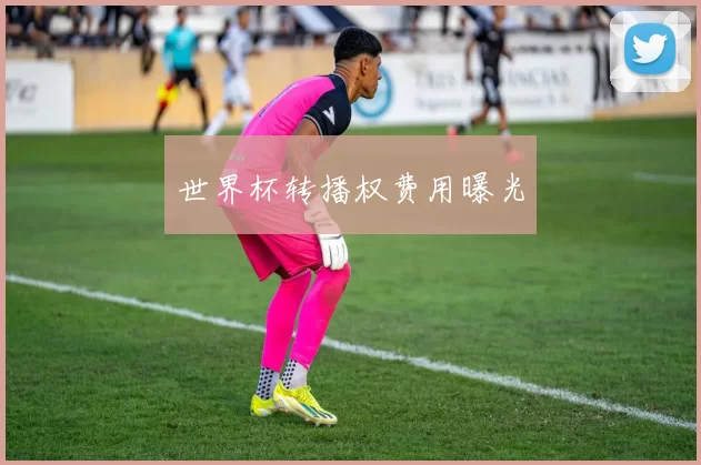 世界杯转播权费用曝光