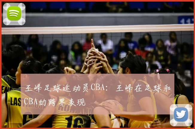 王峰足球运动员CBA：王峰在足球和CBA的跨界表现